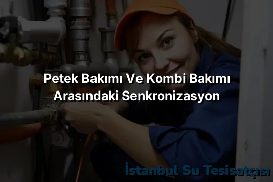 
Petek Bakımı ve Kombi Bakımı Arasındaki Senkronizasyon
