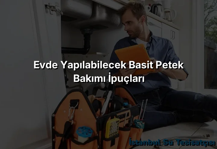 
Evde Yapılabilecek Basit Petek Bakımı İpuçları

